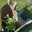 kelly-backhoe-attachment-image-17
