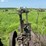 john-deere-g-image-29