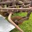 #7465-•-john-deere-3-bottom-plow-image-13