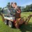 lanz-digger-image-1