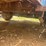 2012-80"-x-20'-t/a-gooseneck-trailer-image-15