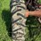allis-chalmers-unstyled-wc-image-22