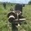 hart-parr-50-stationary-power-unit-image-6