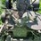 john-deere-a-image-34
