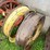#7458-•-pair-of-tractor-tire-rims-image-3