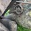 keck-gonnerman-30-60-image-92