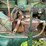 ingersoll-rand-air-compressor-unit-image-22