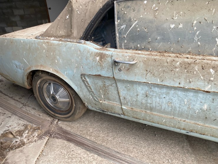 1964-1/2--ford-mustang---with-title-image-7