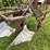 #7462-•-john-deere-moldboard-plow-image-5