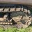 caterpillar-ten-crawler-image-21