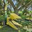 john-deere-34-image-3