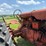 allis-chalmers-uc-high-crop-gm-image-17