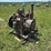 1934-john-deere-w113-stationary-engine-image-5