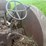 huber-image-40