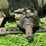 john-deere-g-image-35