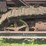 cletrac-crawler-image-17