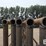 24'-free-standing-panels-(bid-per-unit)-image-9