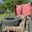 freightliner-semi-with-cummins-engine-image-51