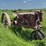 farmall-f12-image-7