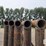 24'-free-standing-panels-(bid-per-unit)-image-9