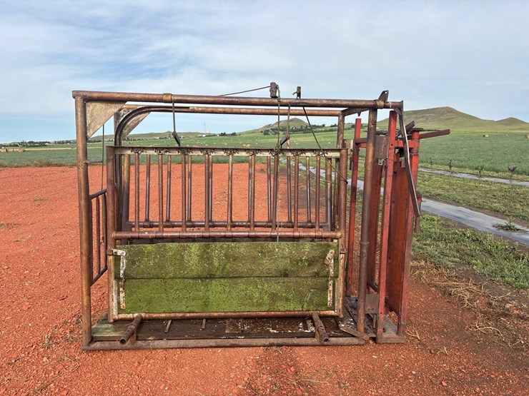 cattle-chute-image-1