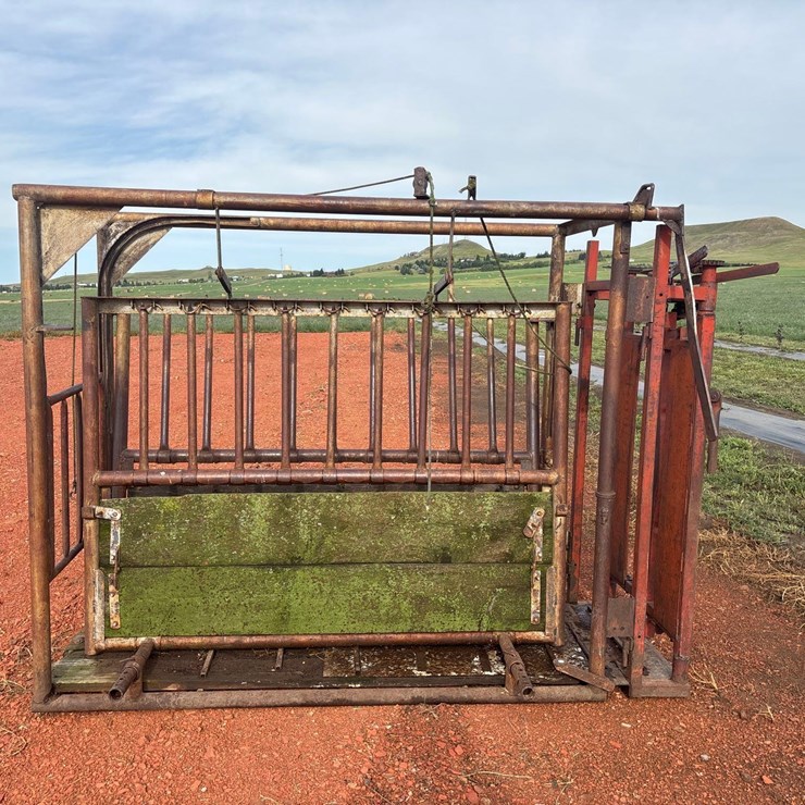 Cattle Chute