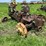 john-deere-720-standard-diesel-image-3