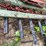 #7476-•-field-cultivator-image-10