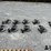 yetter-9-fertilizer-openers-image-2