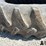firestone-18.4-r46-tires-(bid-per-unit)-image-11