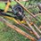 #7455-•-hay-rake-image-13