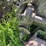 john-deere-a-image-31