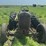 ji-case-tractor-image-9