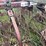 #7453-•-international-harvester-pull-behind-rake-and-cultivator-image-21