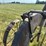 john-deere-subsoiler-image-28