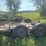 flatbed-trailer-image-6