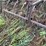 #7453-•-international-harvester-pull-behind-rake-and-cultivator-image-19