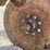 pivot-5'-3-pt-track-closer-image-18