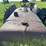 mccormick-deering-super-wd-9-image-14