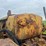 caterpillar-r5-crawler-and-blade-image-32