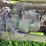 john-deere-model-b-image-21