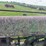 john-deere-g-image-24