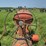 allis-chalmers-model-uc-image-41