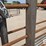24'-free-standing-panel-w/-8'-swing-gate-(bid-per-unit)-image-11