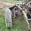 #7460-•-unknown-brand-2-bottom-plow-image-15