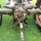 #6672-•-1942-john-deere-tractor-image-13