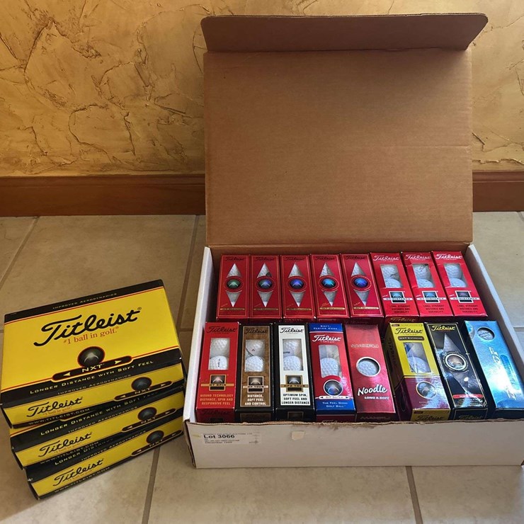 Lot of Mostly Titleist Golf Balls