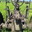 john-deere-model-a-image-38