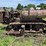caterpillar-thirty-image-2