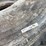 11r22.5-tires-&-rims-image-16